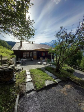 Les Fleurettes Les Diablerets